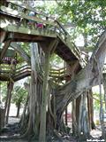 Parque Colón - AGUADILLA